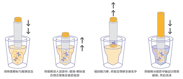 新闻中心-江西省立康科技有限公司