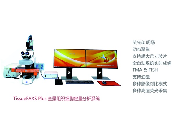 全景组织细胞定量剖析系统