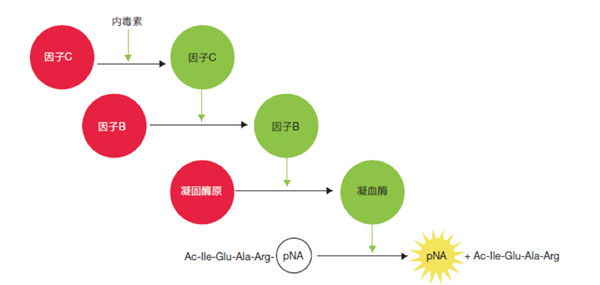 新闻中心-江西省立康科技有限公司