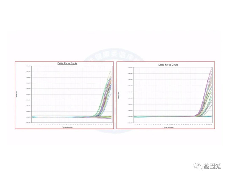 实时荧光PCR的Ct值及与病毒载量之间的关系-江西省立康科技有限公司