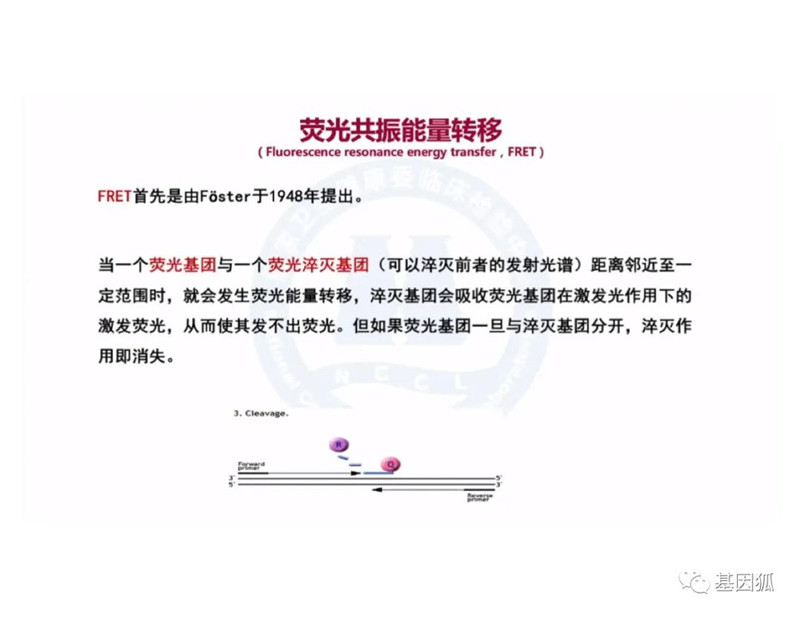 实时荧光PCR的Ct值及与病毒载量之间的关系-江西省立康科技有限公司