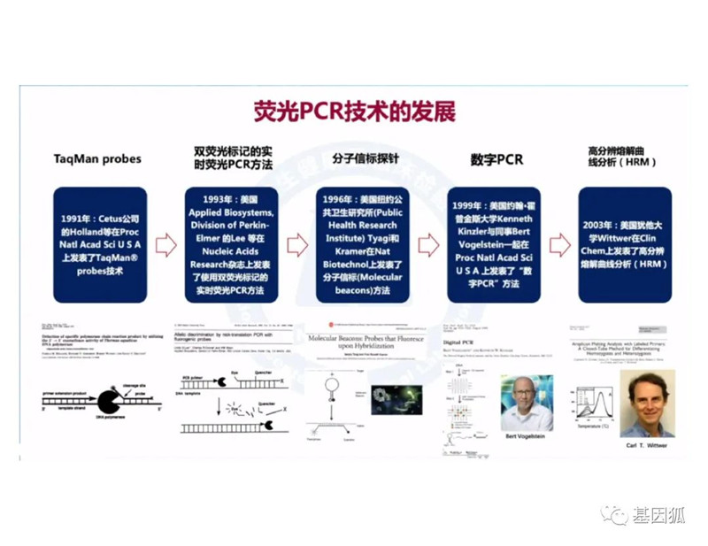 实时荧光PCR的Ct值及与病毒载量之间的关系-江西省立康科技有限公司