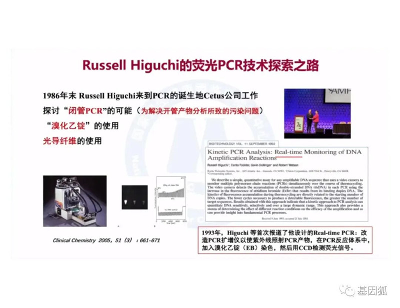 实时荧光PCR的Ct值及与病毒载量之间的关系-江西省立康科技有限公司