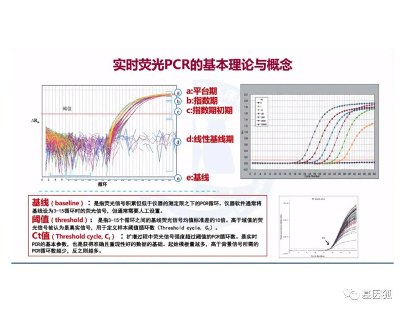 实时荧光PCR的Ct值及与病毒载量之间的关系-江西省立康科技有限公司