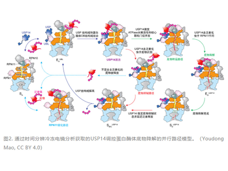新闻中心-江西省立康科技有限公司