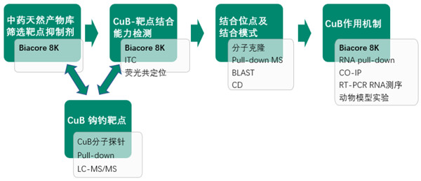2022中医药十大学术希望宣布！Biacore效果榜上著名！-江西省立康科技有限公司
