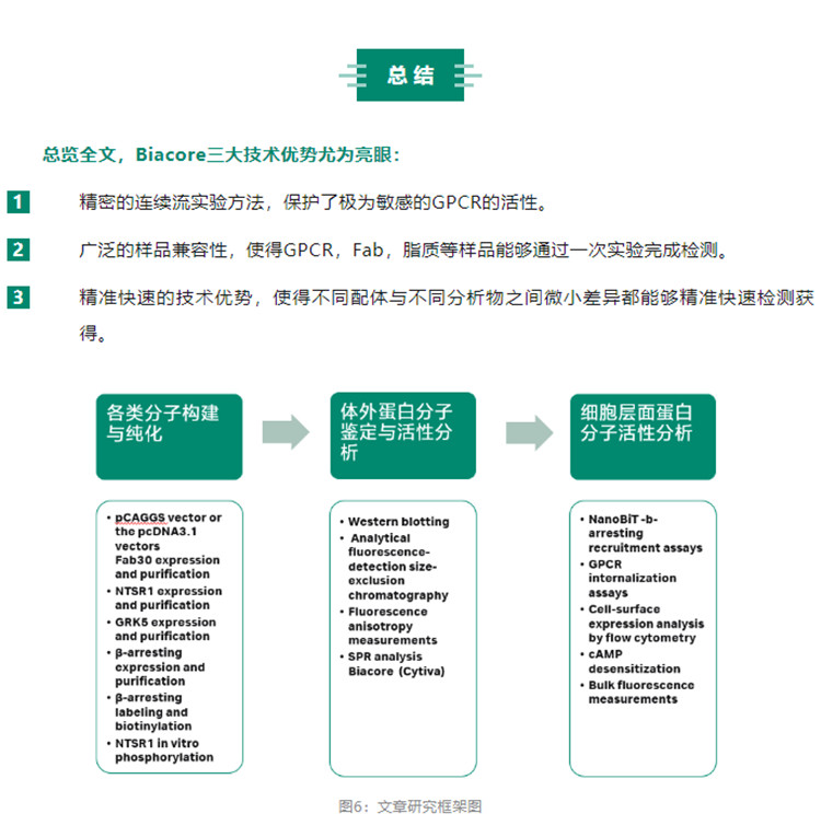 Biacore神助攻：GPCR活性调控机制研究取得突破性希望-江西省立康科技有限公司