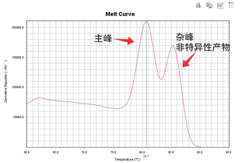 师姐喊你抄作业 | 非凡探秘qPCR 3大疑难问题！-江西省立康科技有限公司
