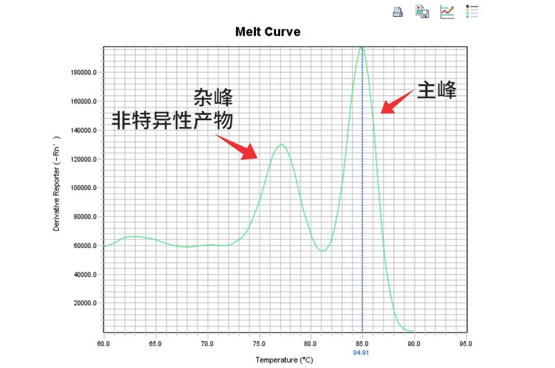 师姐喊你抄作业 | 非凡探秘qPCR 3大疑难问题！-江西省立康科技有限公司
