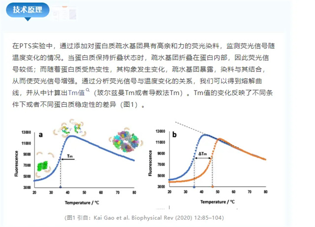 热力全开：卵白质热稳固实验技巧与问题排查全剖析-江西省立康科技有限公司